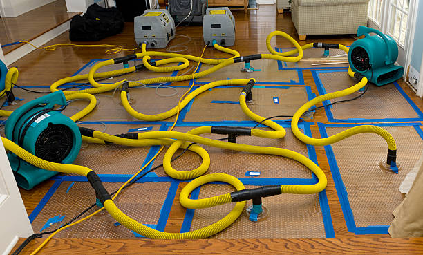 Professional Water Damage Repair technician working in Fallston, NC